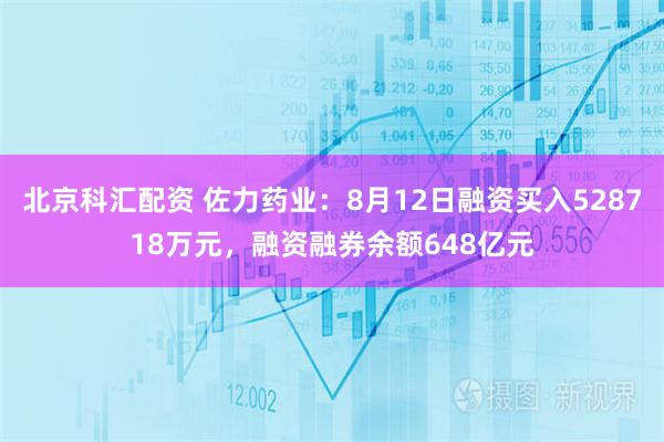 北京科汇配资 佐力药业：8月12日融资买入528718万元，融资融券余额648亿元