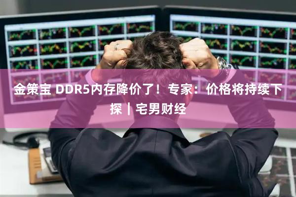 金策宝 DDR5内存降价了！专家：价格将持续下探｜宅男财经